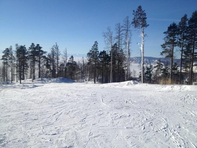 二战中如果日本不打美国,会和德国会师吗?
