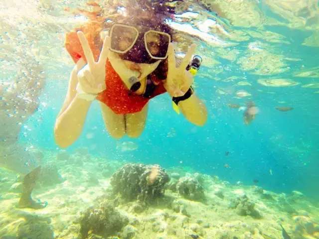 身穿比基尼潜泳的美女, 脑袋里都应该想些什么