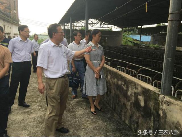 2018年新税收政策出台,这些农民不仅要交税,还