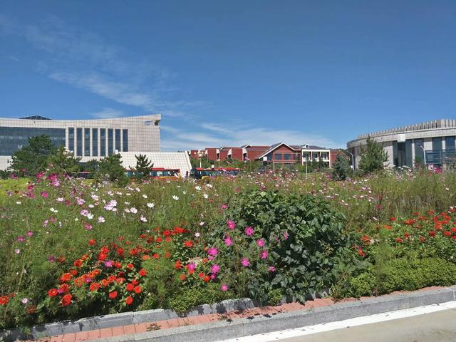 做人的基本素质,你具备几条