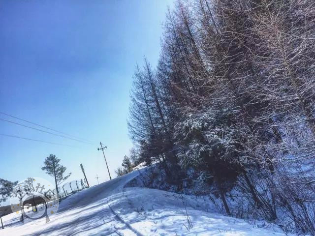 冬天怎么能错过耍雪 重庆周边10大滑雪场全攻略