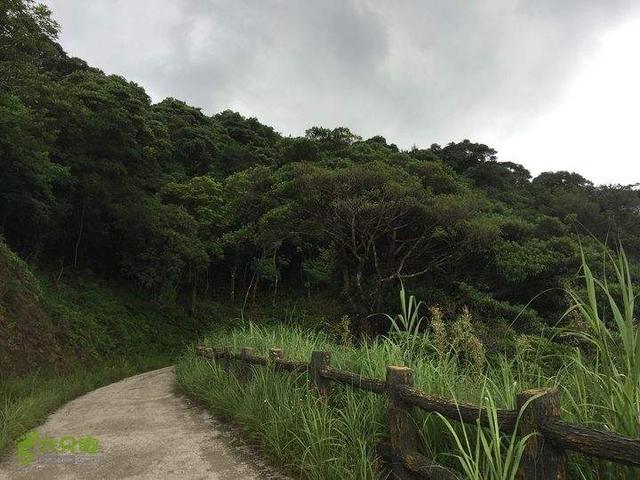 深圳高山排名，原来是这几座，你去过哪座山最好玩？