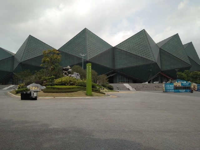 深圳龙岗大运体育馆门前人山人海,原来是李易