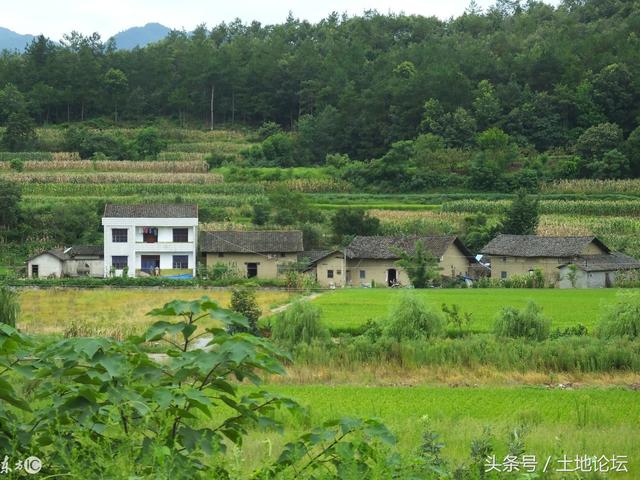 确权的农村土地,老人去世后子女有继承权吗?