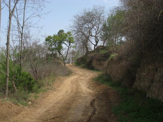 母亲抛弃子女改嫁,老了回来求赡养,女儿只提一