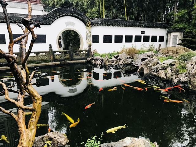 上海是最值得去的四大古镇