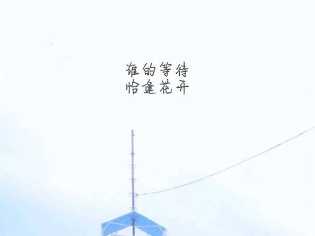 八个字的爱情唯美句子（短句经典 句句入心）