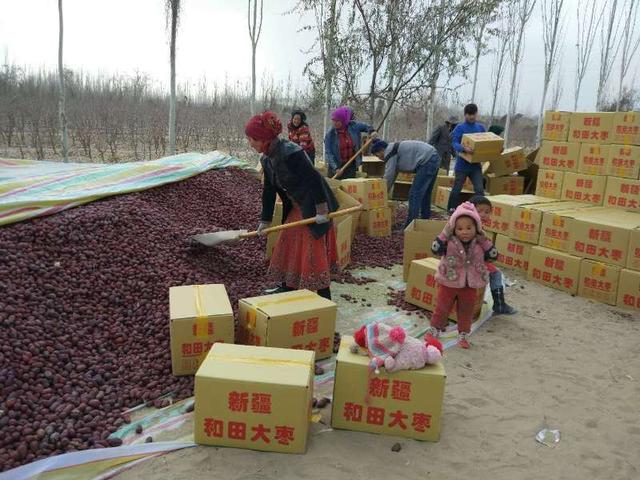 新疆农产品年销售量40万吨京东超市助力南疆