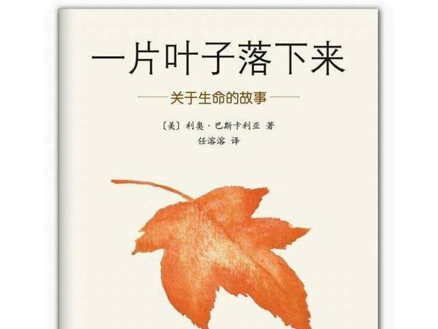 开展哪些班级特色活动，能让学生们感受到班级的温暖？