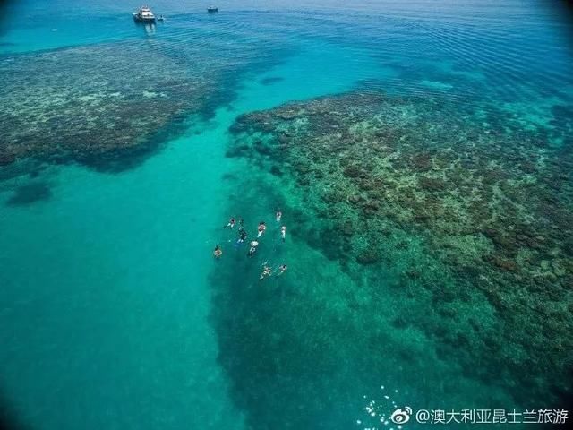 全世界真正的美人鱼哪里多?原来就在澳大利亚大堡礁!！