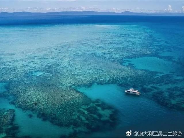 全世界真正的美人鱼哪里多?原来就在澳大利亚大堡礁!！