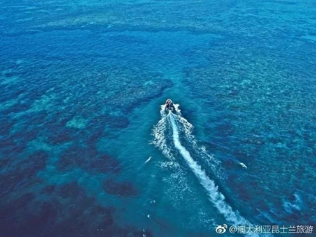 全世界真正的美人鱼哪里多?原来就在澳大利亚大堡礁!！