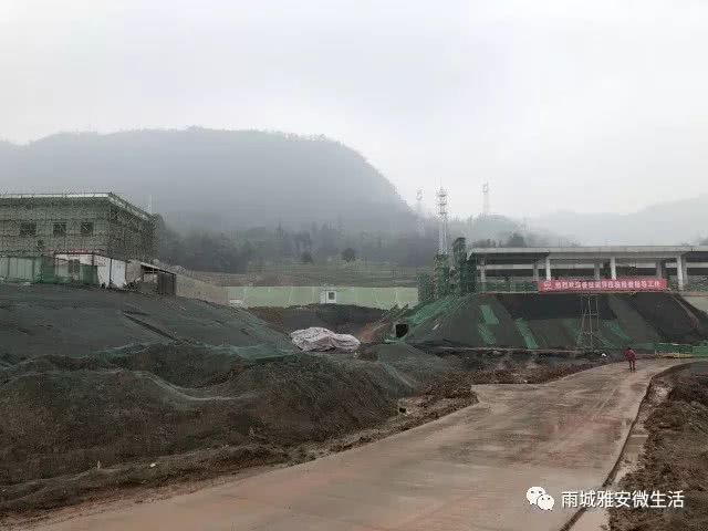 雨城区人口_雅安市雨城区(2)