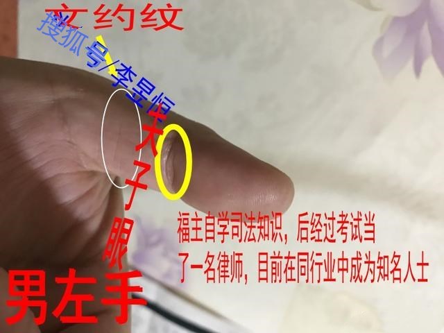 家族戒指纹:由几个环状圆圈相连,围绕着大拇指根部,也称为为"荣耀纹"