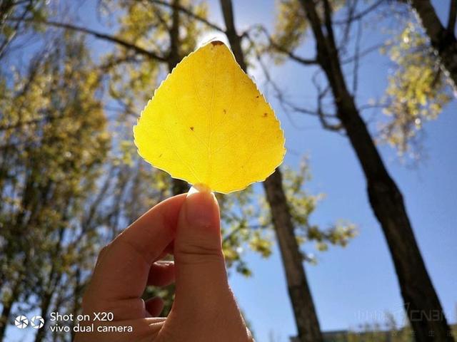 2018年哪款手机拍照效果最好?这六款!行家的