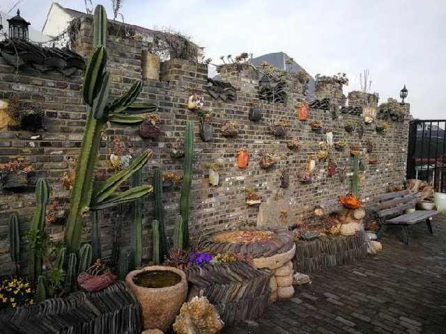 参观上海的园艺大棚，看看园林设计师的多肉植物花园!