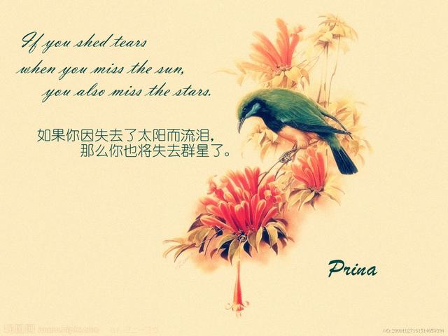 《飞鸟集》经典语录