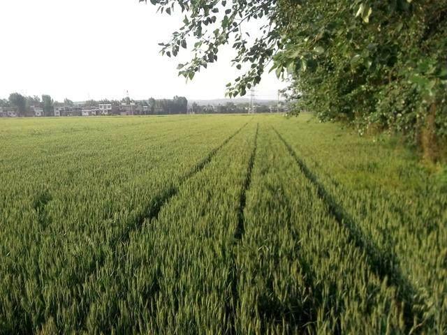 未来河南除了郑州与洛阳, 哪座城市发展潜力最