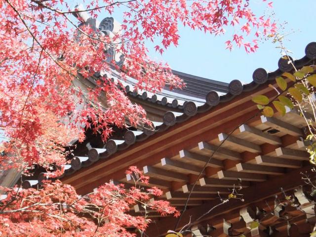 私房推荐,日本东京人气赏枫十大景点(上篇)