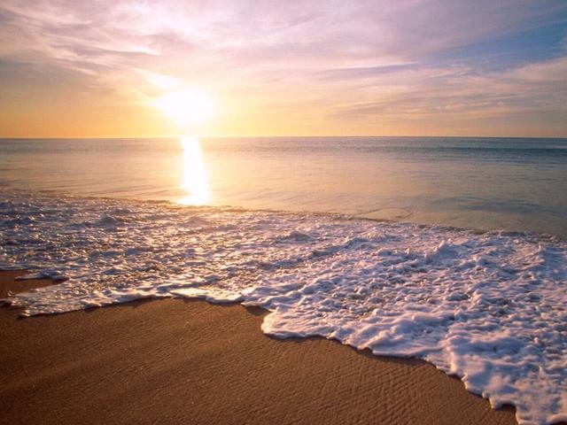 三亚到底好在哪里?为什么东北人四川人选择来