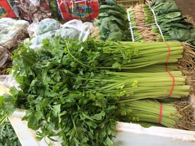 今日西安欣桥市场蔬菜批发行情。这样的行情你