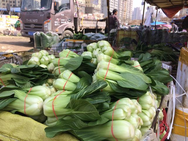 今日西安欣桥市场蔬菜批发行情。这样的行情你觉得怎么样?
