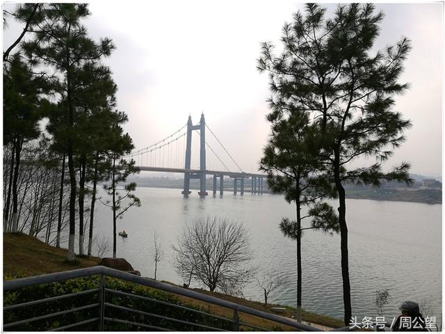 铁岭700元3小时不限次数品茶：超划算的旅游体验