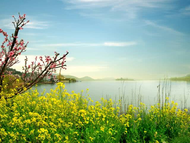 据说春天最好吃的风景,都藏在"浙"里