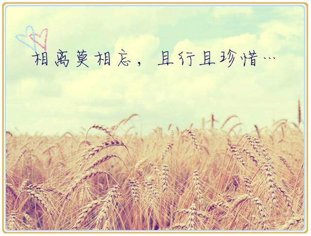 《人生不易 且行且珍惜》