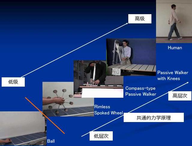 没有任何动力源,这个机器人尽然连续走了13万步
