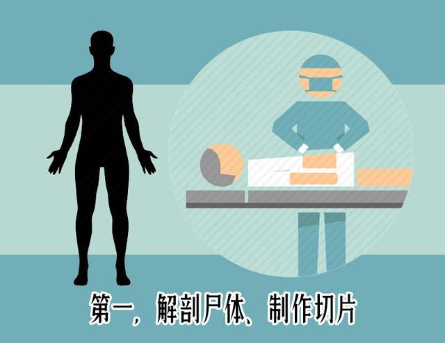 这法医到底是怎样职业?