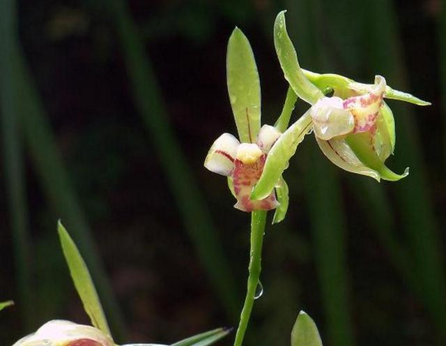 做人,别太硬,中庸,才有好命
