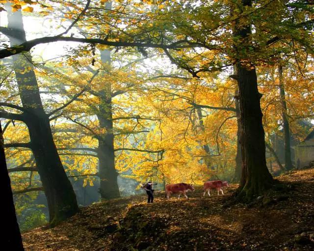 贵州省哪个地方最适合居住?!
