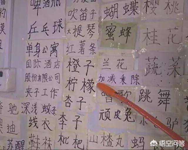 合肥两岁女童识字2000多,数百英语单词,为用心