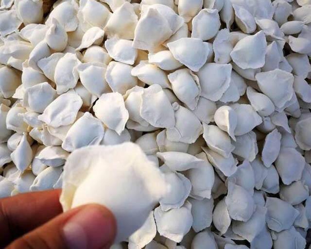 报道不能停,不信俺们东北老铁雪地冻饺子的,进来接着看