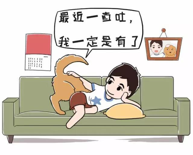 狗狗呕吐勿惊慌，病因颜色藏！教一教大家如何判断
