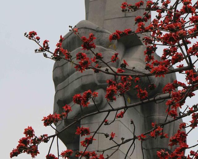 周末带你看周边十大名花, 广东23处赏花游推荐