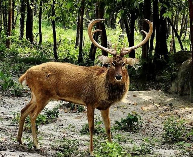 中国足球历史一步:1职业球队正式改名换队徽去