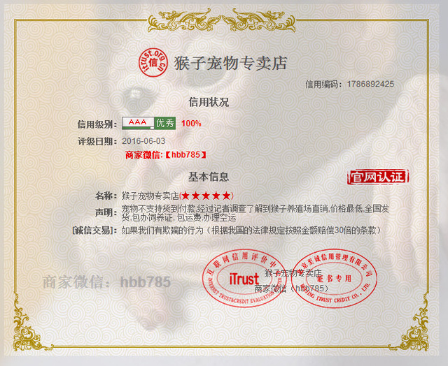 正规养殖场的猴子多少钱一只，袖珍猴多少钱一只，石猴繁殖基地