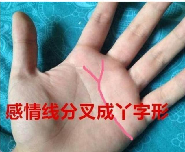 注定一世辛劳, 越过越穷的女人手相