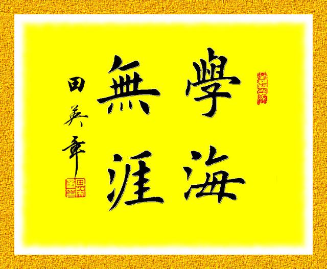 书法|田英章《学海无涯》王丽《以书扬德》作品赏析与养生感悟