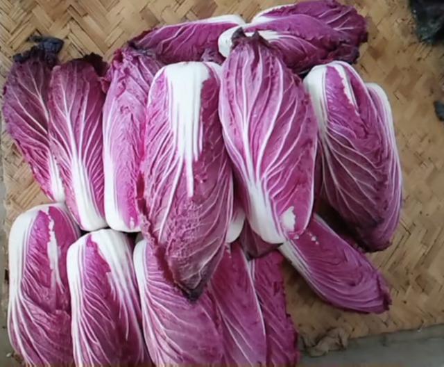 农民种植“紫色白菜”，学名叫做“紫裔”，价格是白菜的十几倍