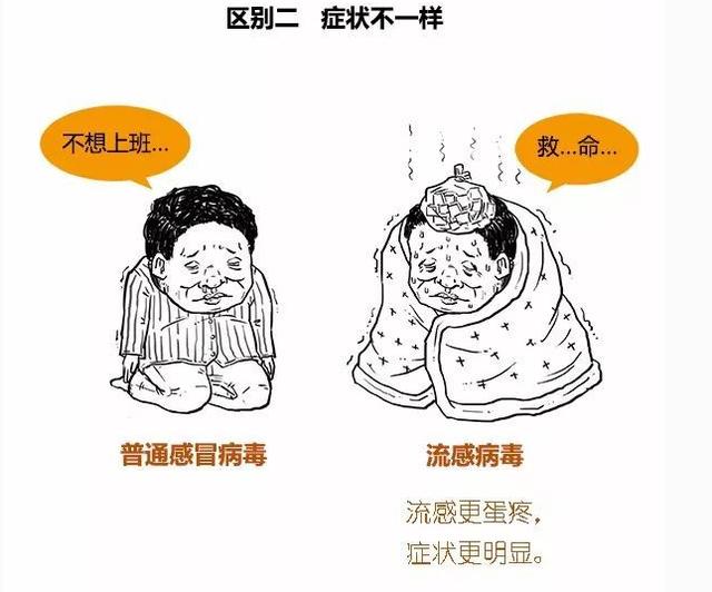 漫画图解:普通感冒和流感的区别