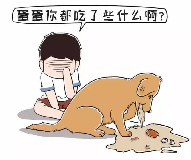 狗狗呕吐勿惊慌，病因颜色藏！教一教大家如何判断