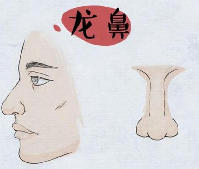 悬胆鼻
