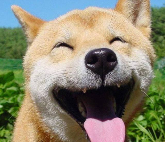 搞笑段子:你哥有你这个弟弟也够悲催的，哈哈笑死我了