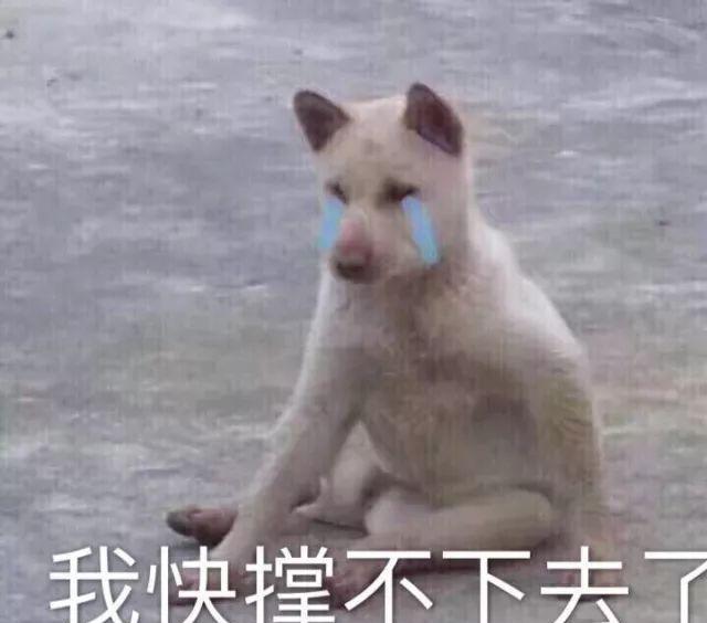 刘亦菲宋承宪分手,没想到这个人却火了