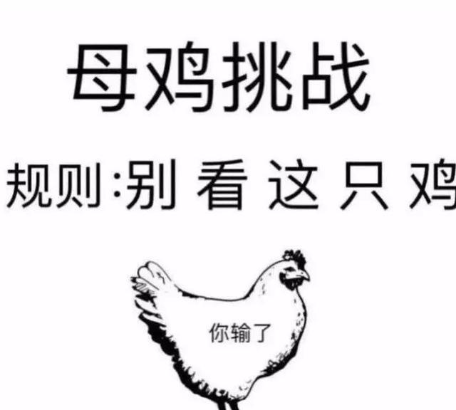 母鸡挑战,规则不能看这只鸡:每天笑哈哈的囧图(2018.03.06)