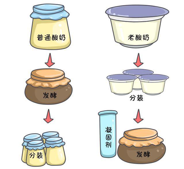 发酵乳,优酪乳,老酸奶,风味酸奶等到底有啥区别?
