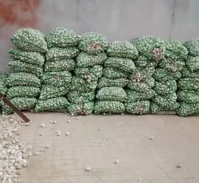 农民大妈种植大蒜,市场价格4元左右一斤,为何